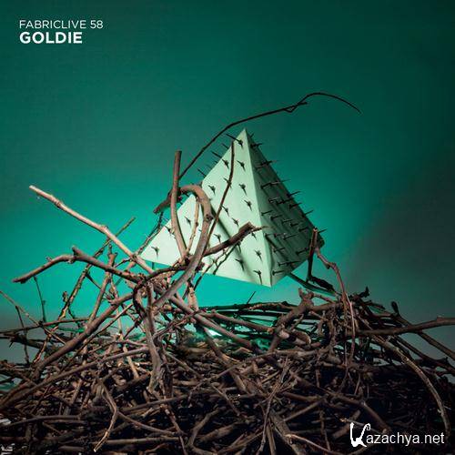 VA - Fabriclive 58 (mixed by Goldie) (2011)