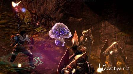 Dungeon Siege 3: Limited Edition + 4 DLC.v Update 1 (2011/Rus/Eng)