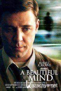  a / A Bautiful Mind (2001) DVDRip/1.37 Gb