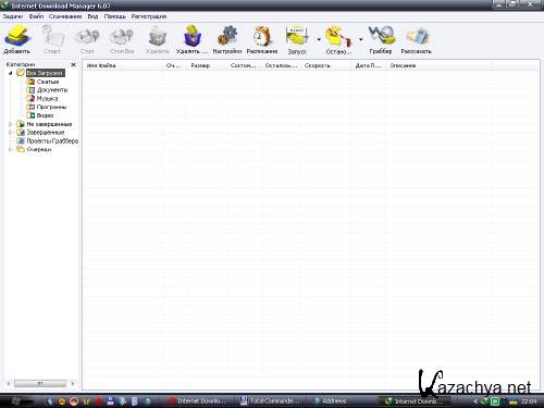 Internet Download Manager 6.07 build 3 Final / Retail / Portable (2011)