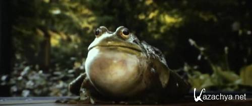 ��� ������ �� ��������  Zookeeper