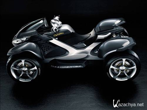 ��������: �����������