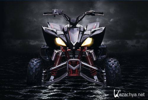 ��������: �����������