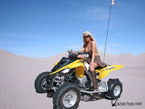 ��������: �����������