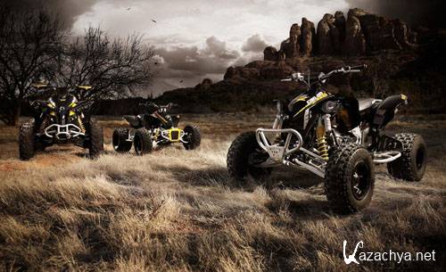 ��������: �����������