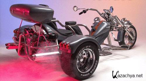 ��������: �����������