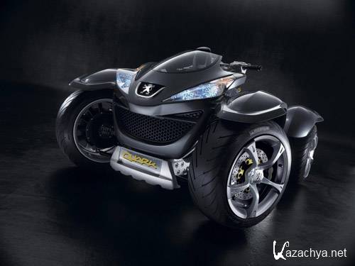 ��������: �����������