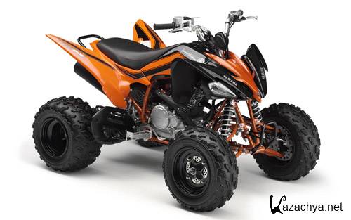 ��������: �����������