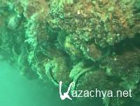 ����� ������ - ����� ���� (2009) SATRip