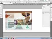 [] Adobe InDesign CS5  1 [ ¸    , 2011, RUS ]