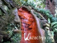 ��� ��, ������ �����? (2004) DVDRip