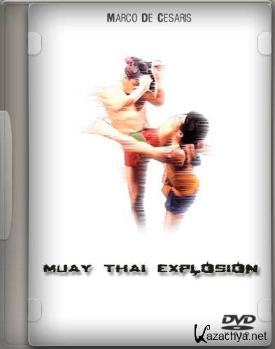Взрывной Муай Тай / Muay Thai Explosion (2009) DVDRip