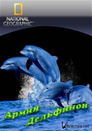 Армия дельфинов / Dolphin Army (2009) HDTVRip