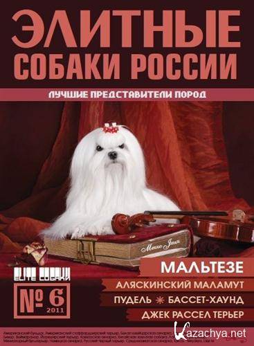 Элитные собаки России (№6 / 2011)