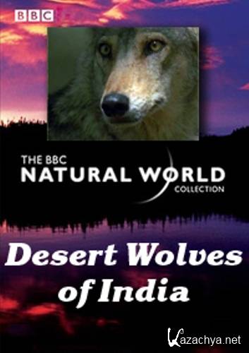  .    / Natural World. Desert Wolves of India (2004) SATRip