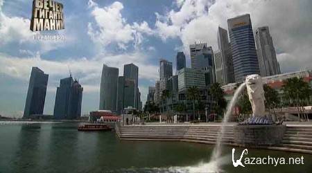  .    / Singapore Amusement Park (2011) IPTVRip 