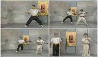     -   / Wing Chun Kung Fu - Dragon Pole (2005) DVDRip