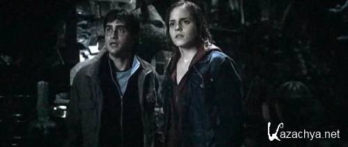    :  2 / Harry Potter and the Deathly Hallows: Part 2 (2011 / CAMRip)