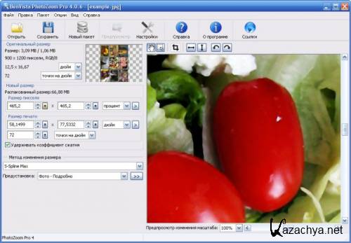     . Benvista PhotoZoom Pro 4.0.6