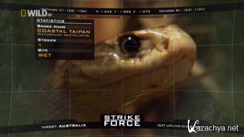 NG:     :    / Strike force (2010) HDTVRip