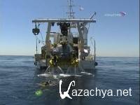 ������ ���������� / Octopus Volcano (2007) SATRip