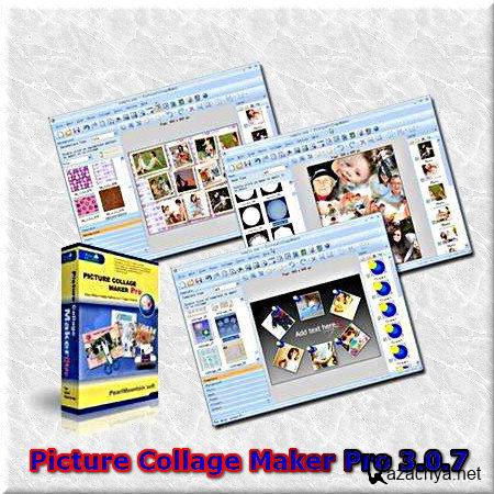 Picture Collage Maker Professional 3.0.7 build 3499 Eng