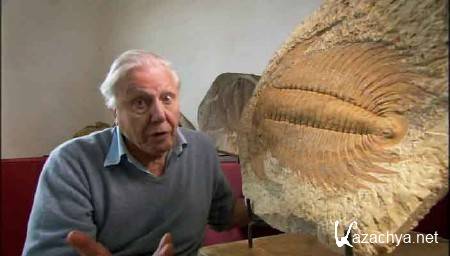      (2   2) / First Life with David Attenborough (2010) DVDRip