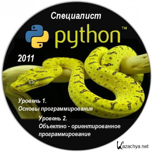 Язык питон год. Питон программирование. Пайтон язык программирования. Питон язык. Основы программирования на языке Python.