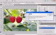 Photoshop CS5  A   [ , 2011, RUS ]