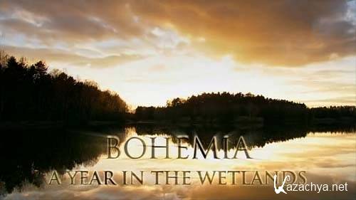      / Bohemia  A Year in the Wetlands (2009) SATRip