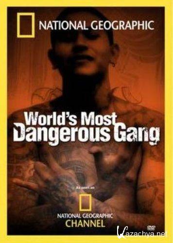 MS-13:      / World's Most Dangerous Gang (2005) DVDRip