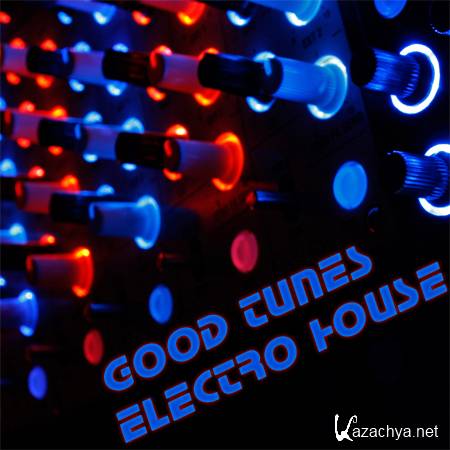 Good Tunes: Electro House (2011)