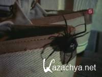   / Bite Of The Black Widow (1993) SATRip