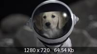   / Space Buddies (2009) BD Remux + 1080p + 720p + DVD5 + HDRip