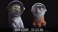   / Space Buddies (2009) BD Remux + 1080p + 720p + DVD5 + HDRip