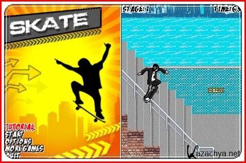 Skateboard / 