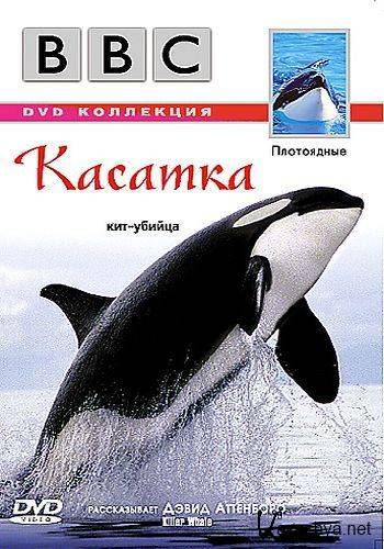 .  / Wildlife Special - Killer Whale (2003) DVDRip