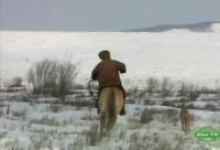 ����� ���� / Gray Wolf (2008) SATRip