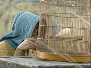 ����� ���� / Meek's Cutoff (2011) DVDRip