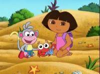  :   / Dora The Explorer: Summer Explorer (2007 / DVDRip)