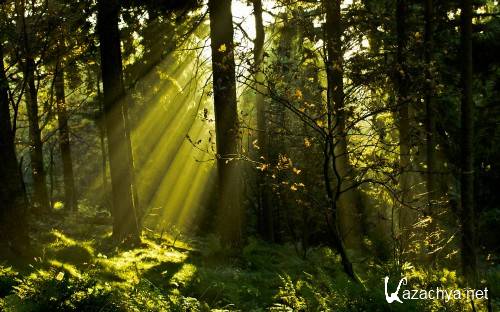 Collection of wallpapers � 700