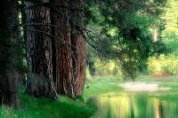 DreamScenes Enabler 1.2 - ����� ���� ��� windows 7