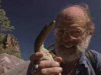 :   / Quest for the rainbow serpent (2001) DVDRip