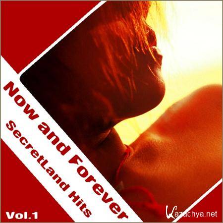Now and Forever Secretland Hits Vol.1 (2011)