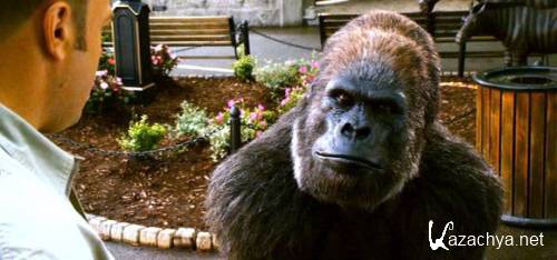     / Zookeeper (2011) DVDRip | 