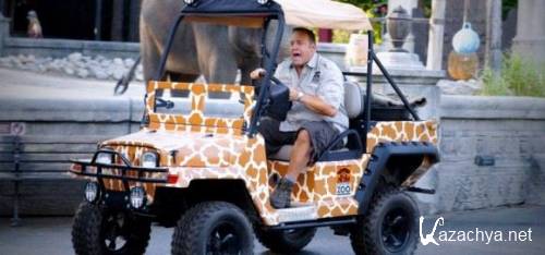     / Zookeeper (2011) DVDRip | 