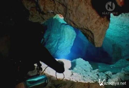 BBC:  .    / BBC: Secrets of the Maya Underworld (2005) SATRip