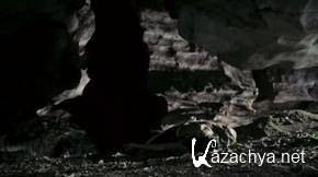 Дерущийся тигр/Kinta (2008) DVDRip Дерущийся тигр/Kinta (2008) DVDRip