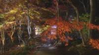    / Kyoto Autumn Color (2007) HDRip