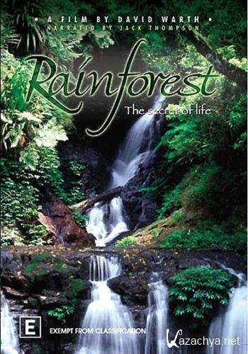    / Rainforest - The secret of life (2008) SATRip